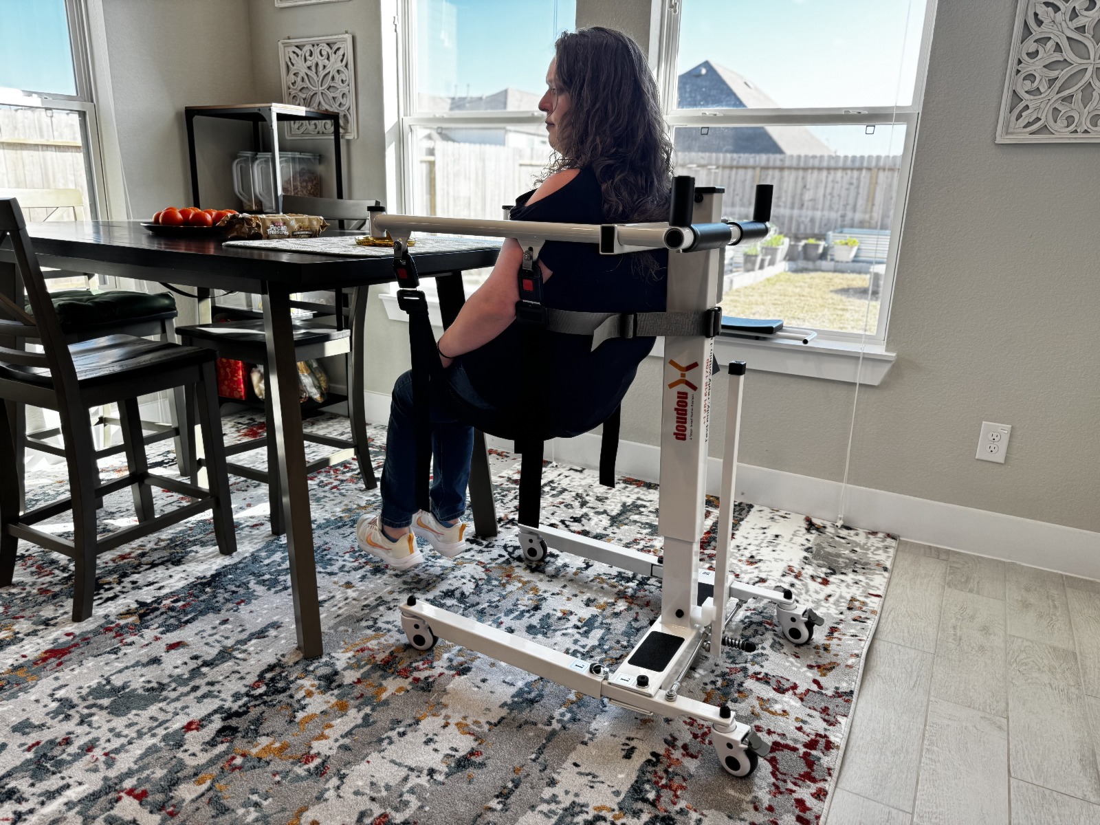 Electric Transfer Lift - Image 2